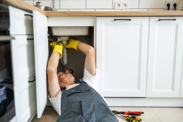 Best Plumbing Inspection Services  in Hodgenville, KY